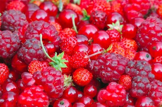 FITMAT Coach - Red fruits