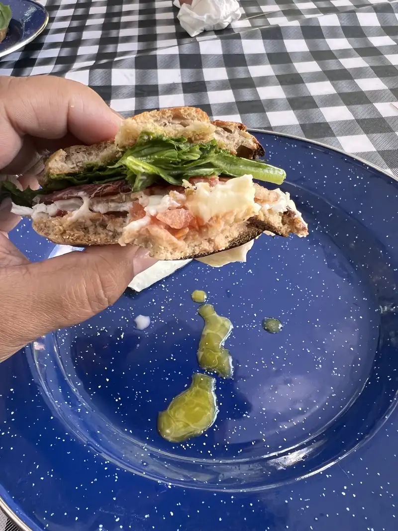 Healthy Avocado Egg Toast Recipe