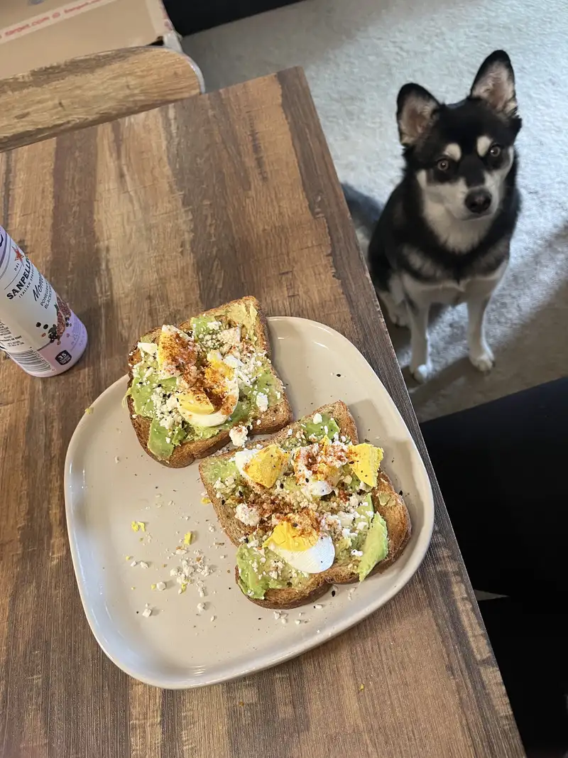 Healthy Avocado Egg Toast Recipe