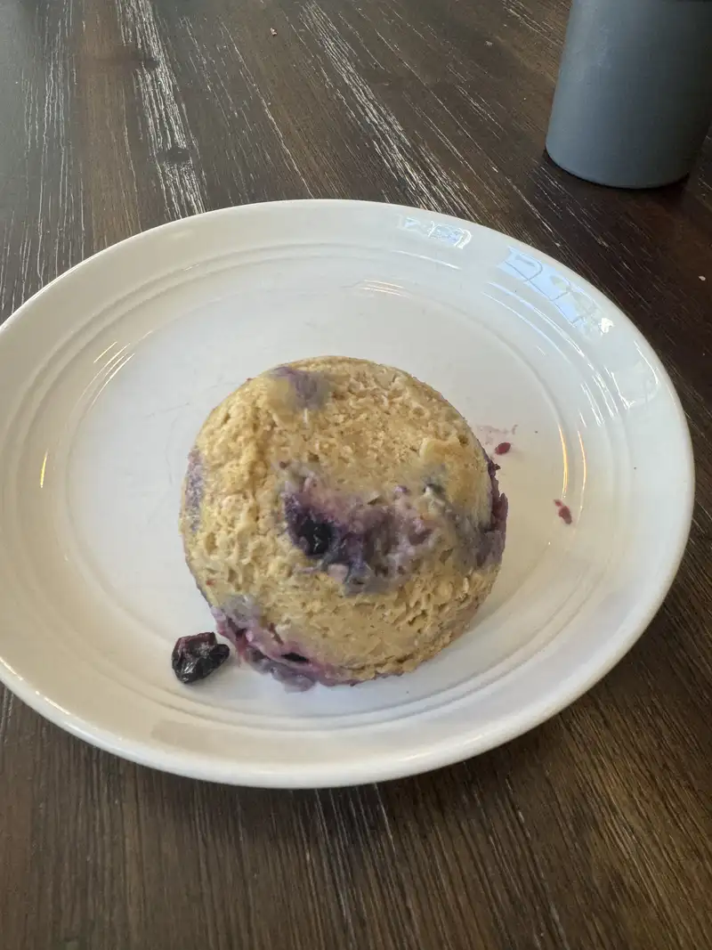 Healthy Blueberry Muffin Recipe
