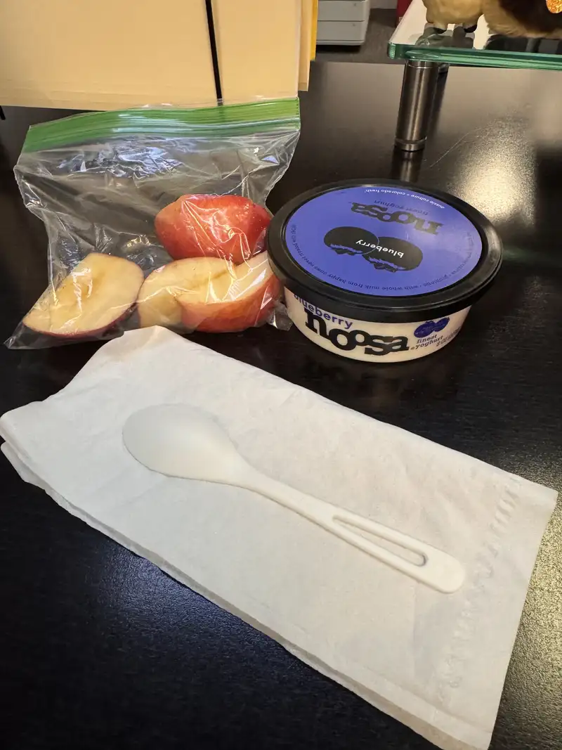 Healthy Blueberry Yogurt Recipe