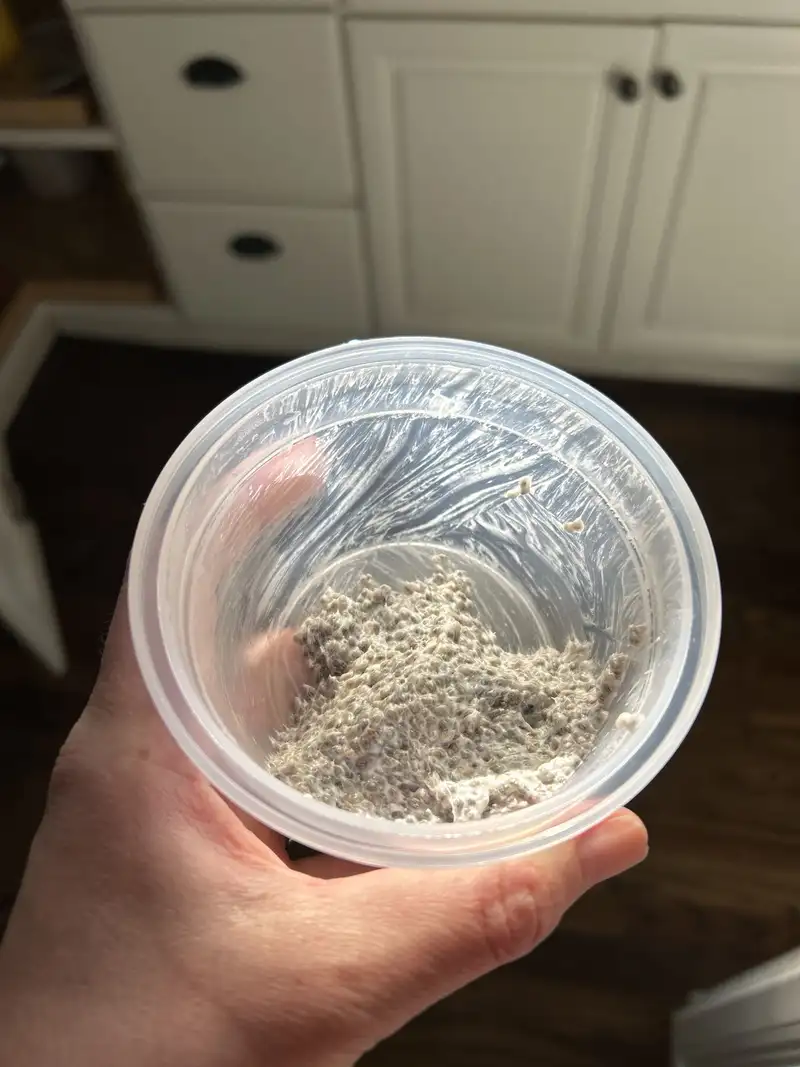 Healthy Chia Pudding Recipe with Protein Powder