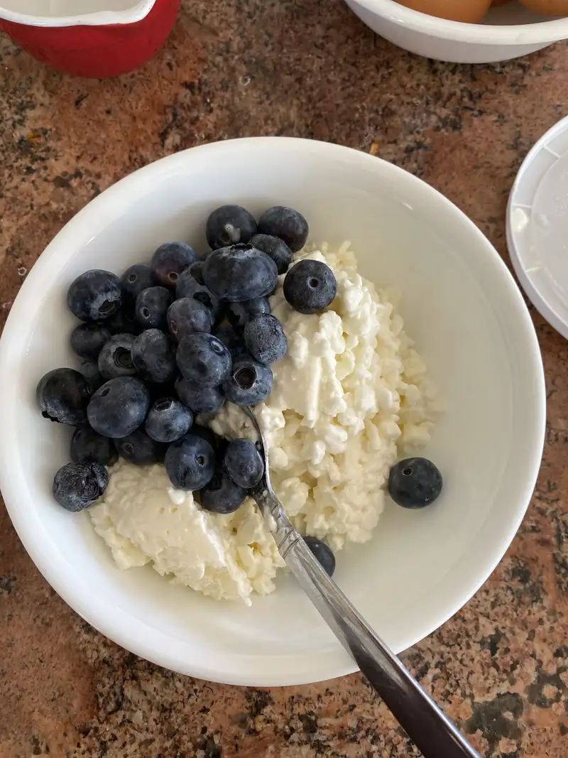 Healthy Cottage Cheese and Blueberries Recipe