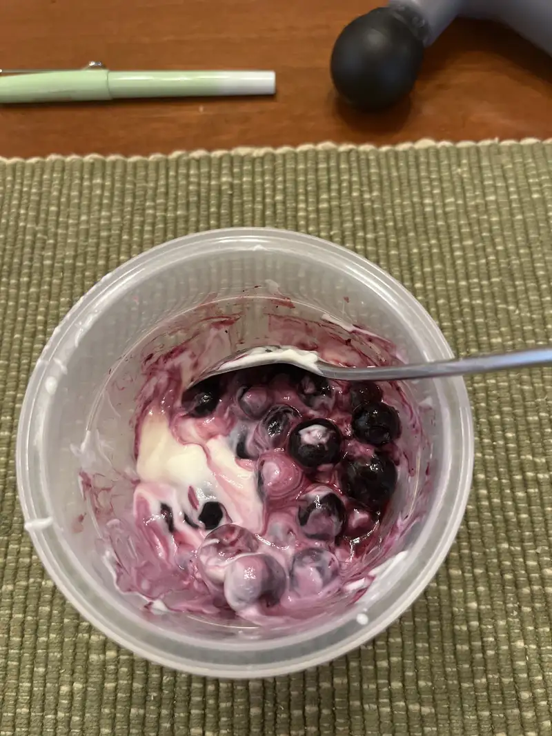 Healthy Greek Yogurt and Blueberry Recipe