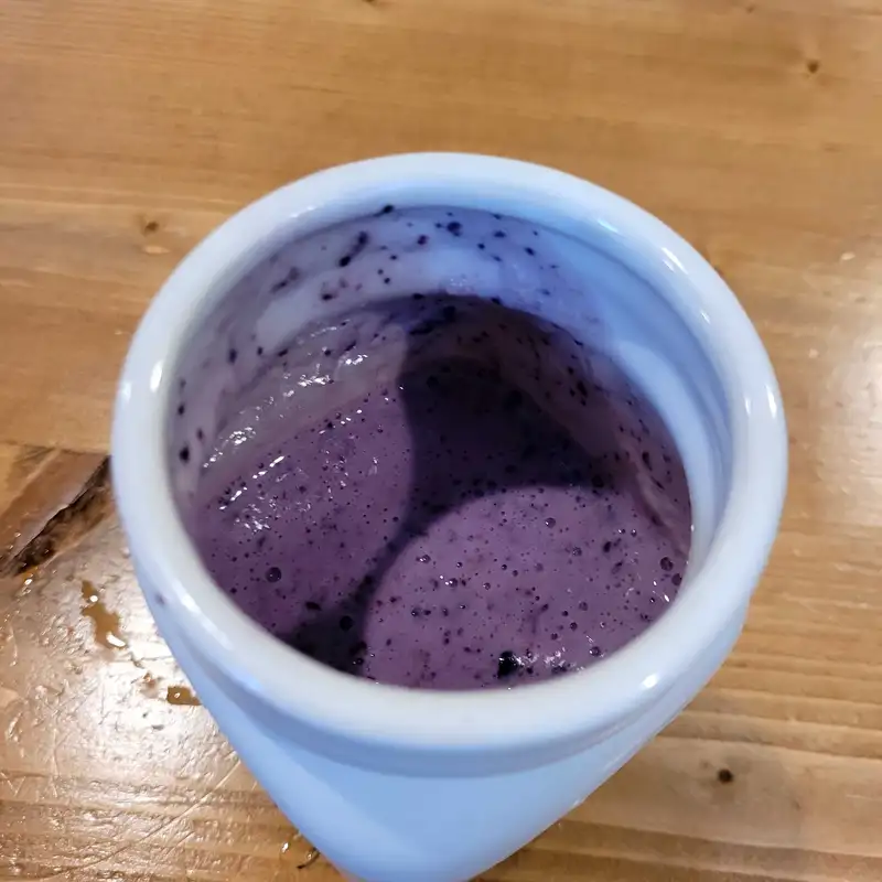 Healthy Greek Yogurt Smoothie Recipe