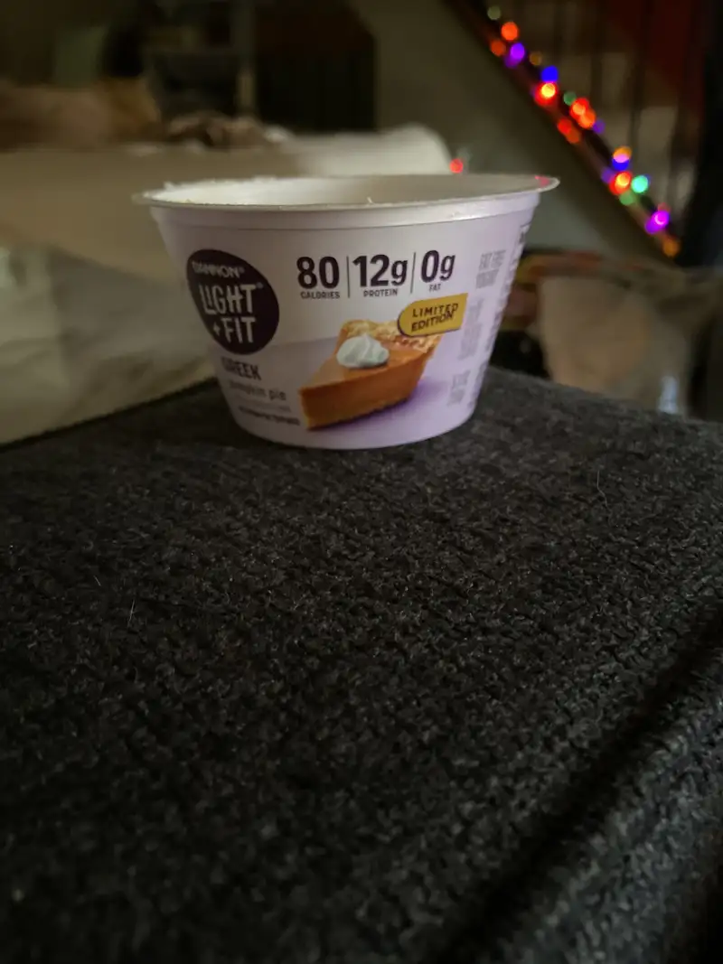 Healthy Greek Yogurt Snack Recipe
