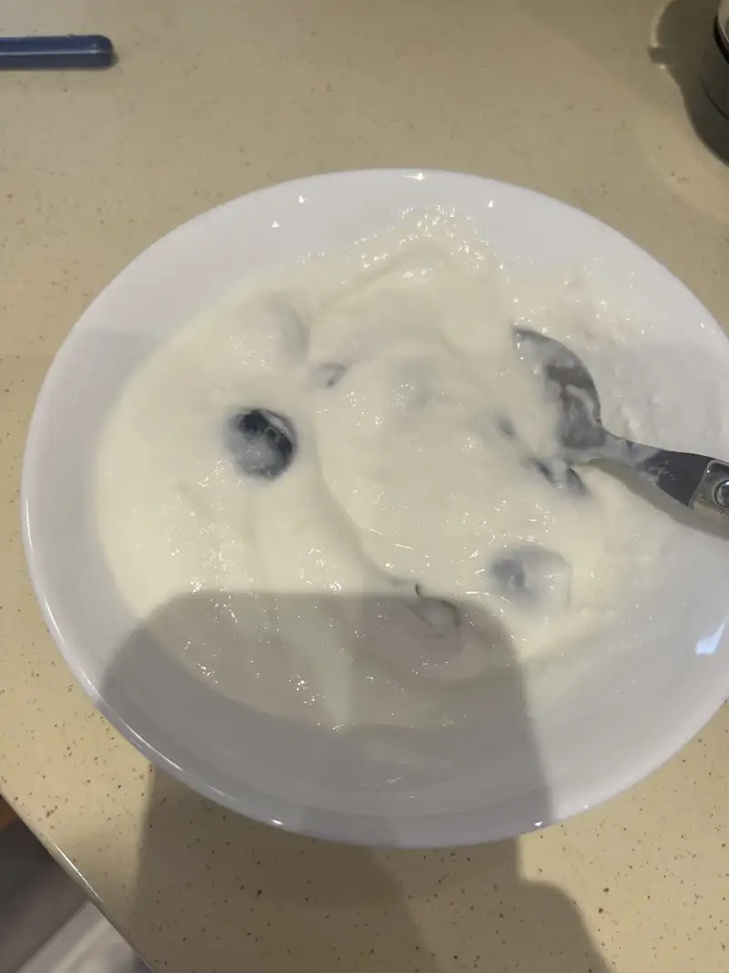 Healthy Greek Yogurt with Blueberries Recipe