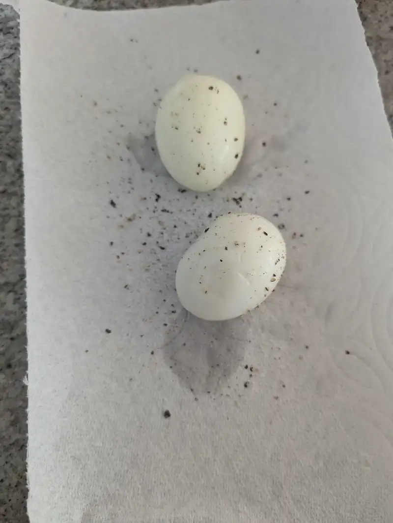 Healthy Hard Boiled Eggs Recipe