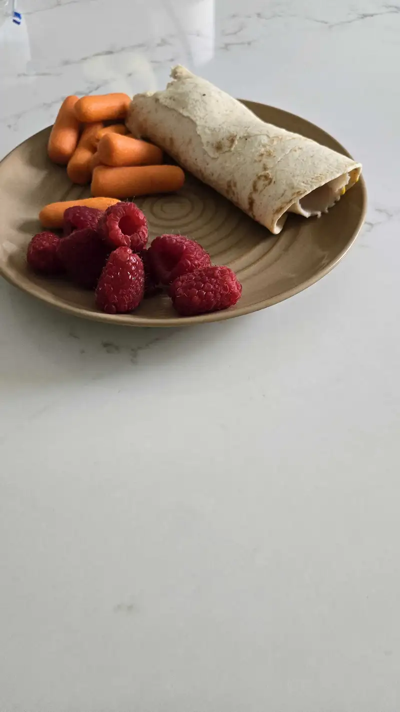 Healthy High Fiber Turkey Wrap Recipe