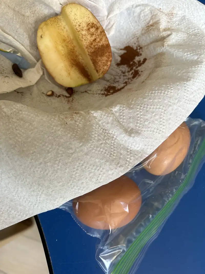 Healthy High Protein Breakfast Recipe