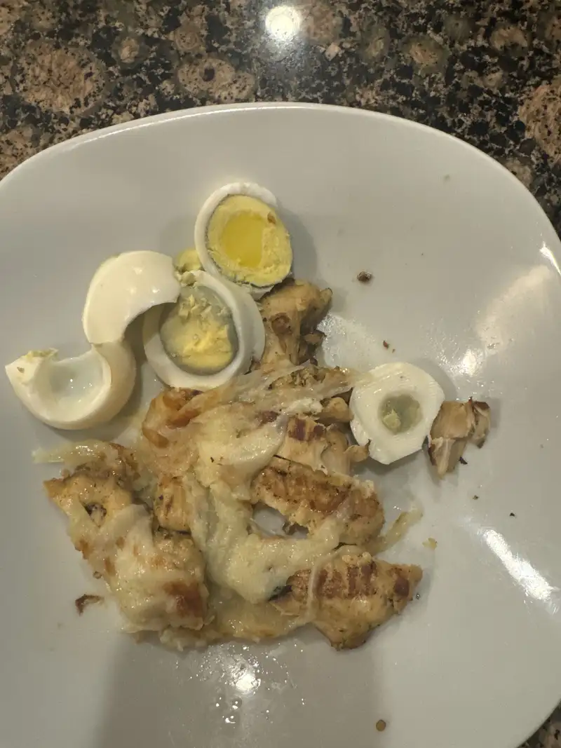 Healthy High Protein Breakfast Recipe
