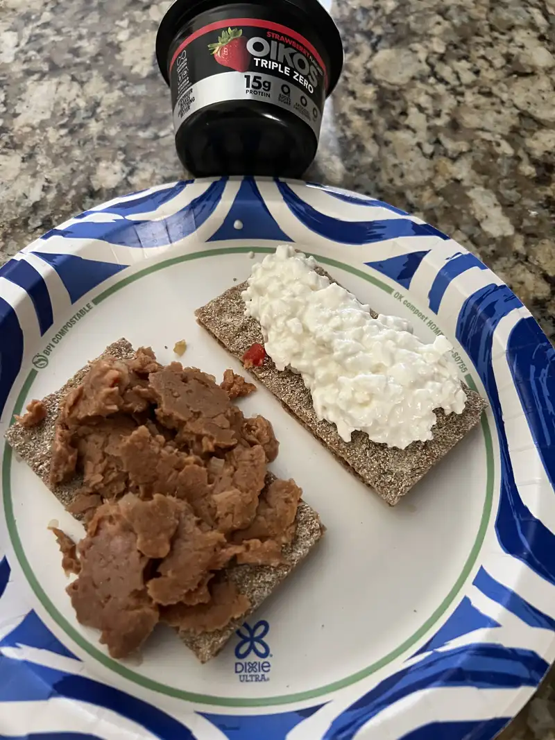 Healthy High Protein Dip Recipe