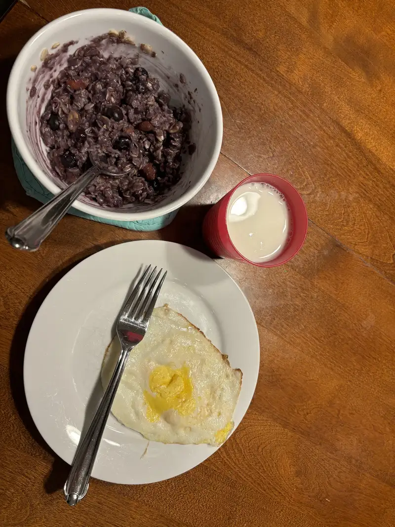 Healthy High Protein Oats Recipe – 350 kcal, 20g protein (Amanda G., 25 Oct 2024) | Fitmate Coach Re