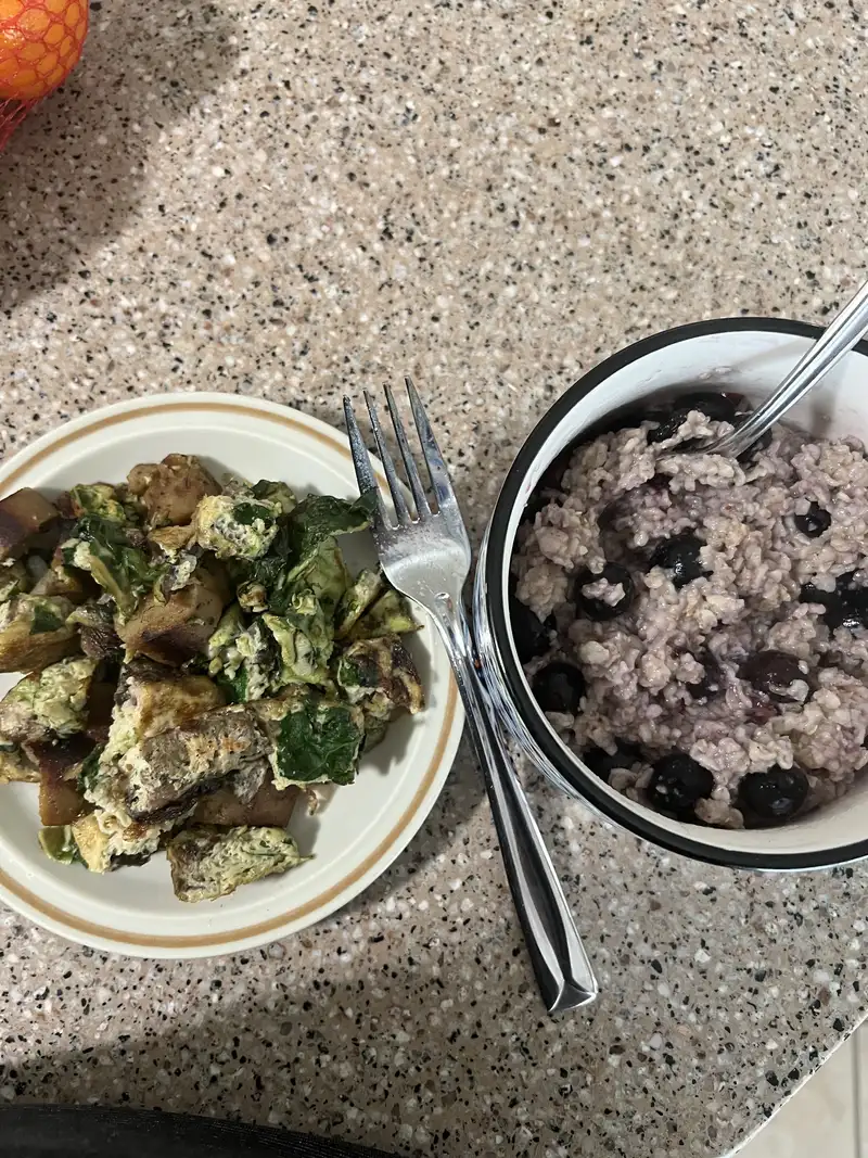 Healthy High Protein Oats Recipe – 350 kcal, 20g protein (Theresa R., May 2024) | Fitmate Coach Reci