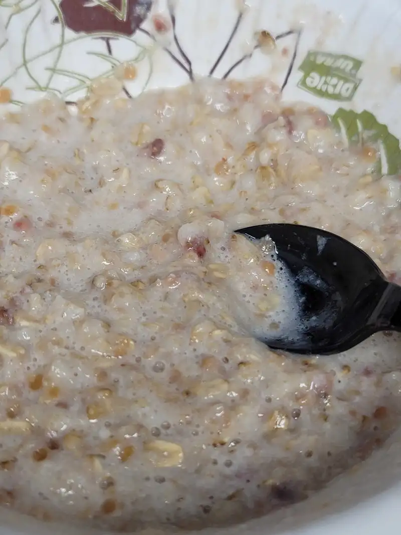 Healthy High Protein Oats Recipe