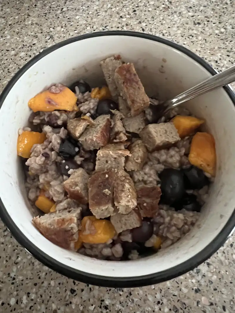 Healthy High Protein Oats Recipe