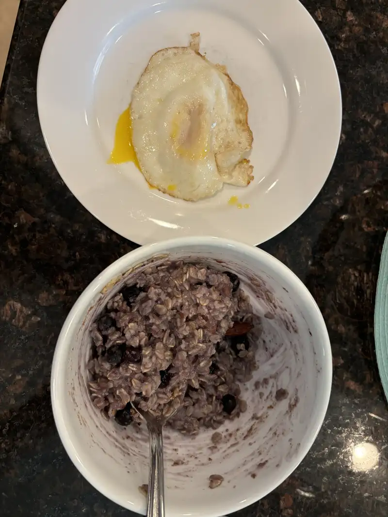 Healthy High Protein Oats Recipe