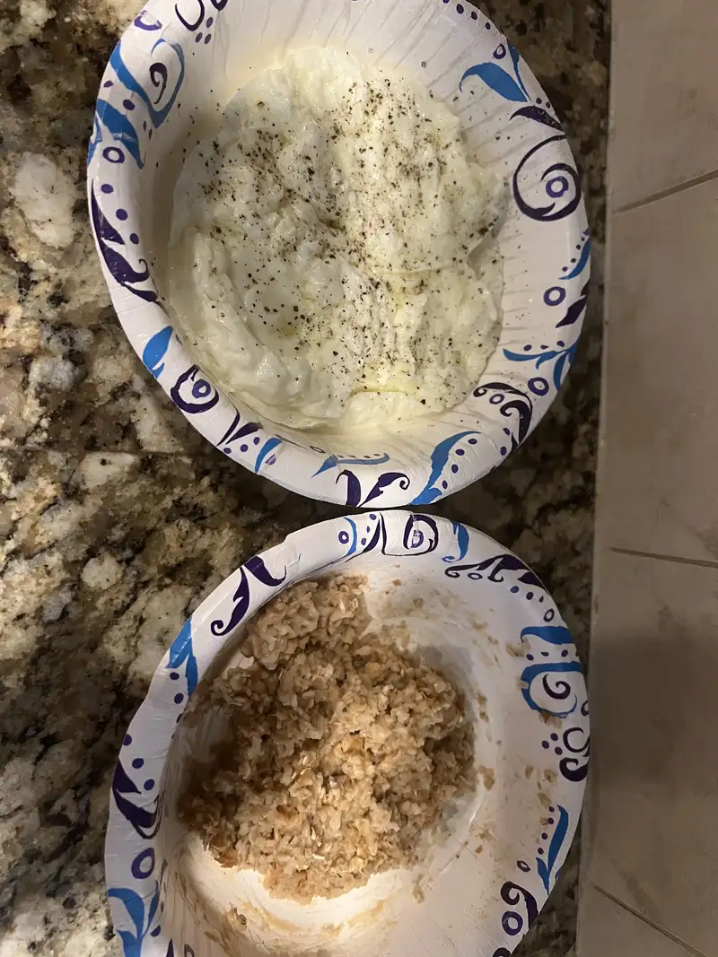 Healthy High Protein Oats Recipe