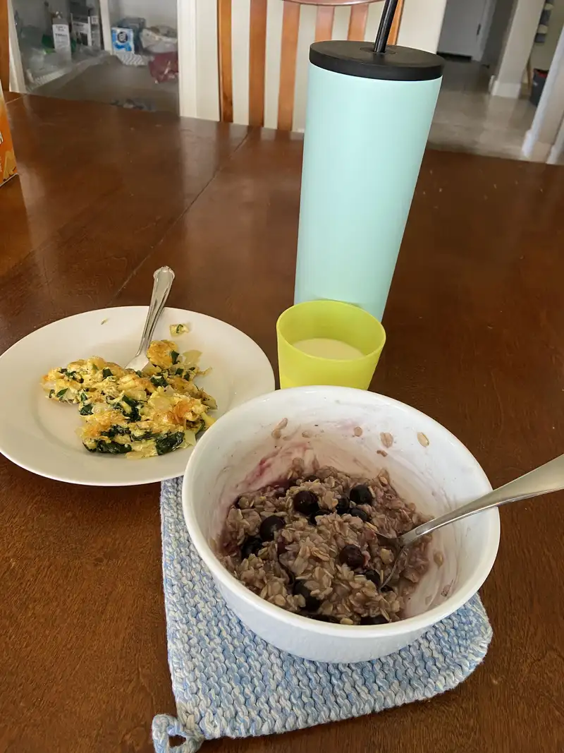 Healthy High Protein Oats Recipe