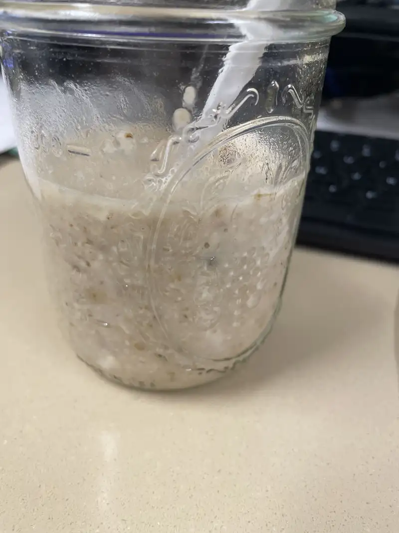 Healthy High Protein Oats Recipe