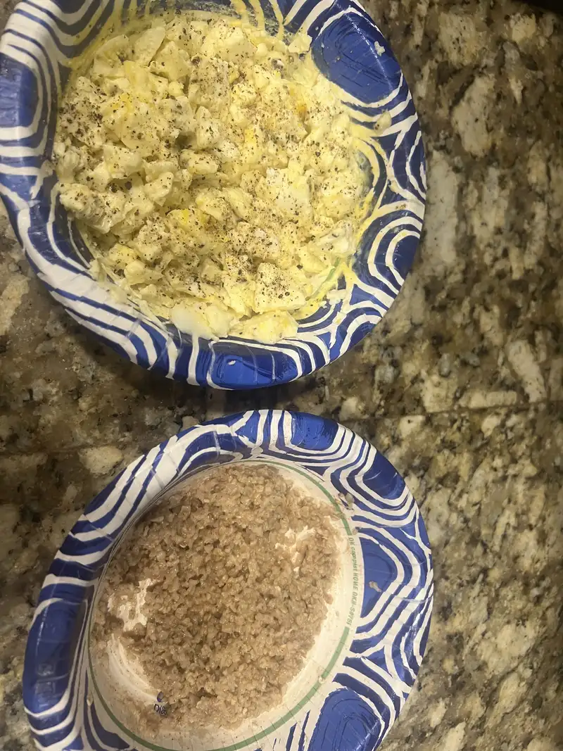 Healthy High Protein Oats Recipe