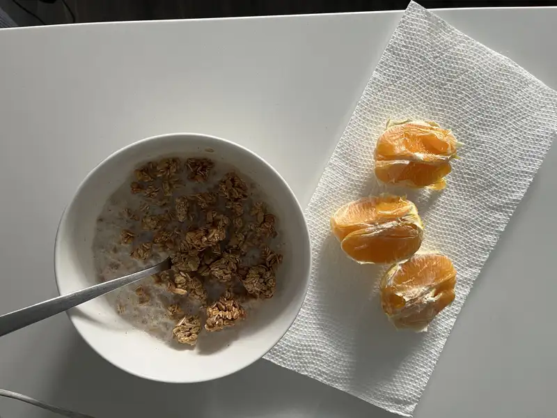 Healthy High Protein Oats Recipe