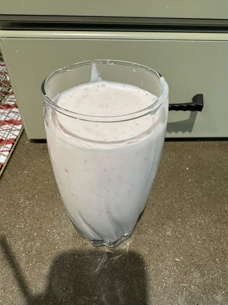 Healthy High Protein Smoothie Recipe