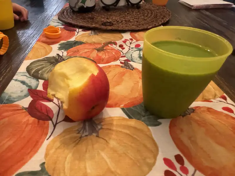 Healthy High Protein Smoothie Recipe