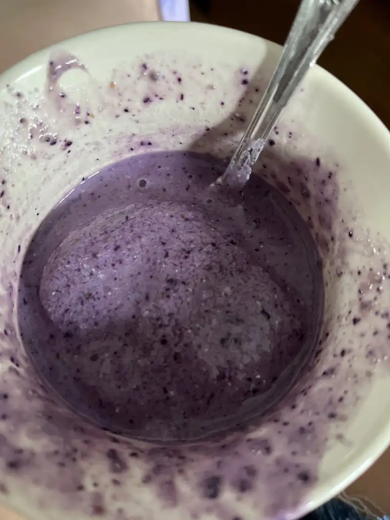 Healthy High Protein Smoothie Recipe