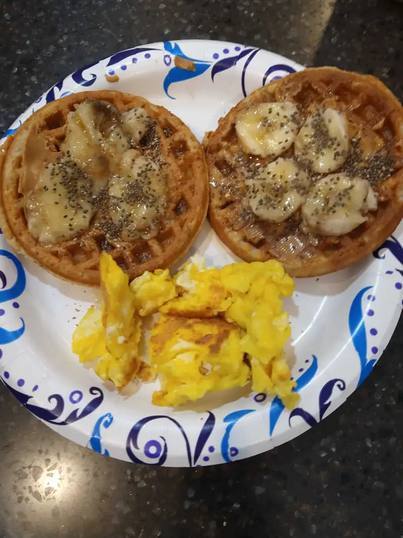 Healthy High Protein Waffle Recipe – 250 kcal, 15g protein | Fitmate Coach Recipes