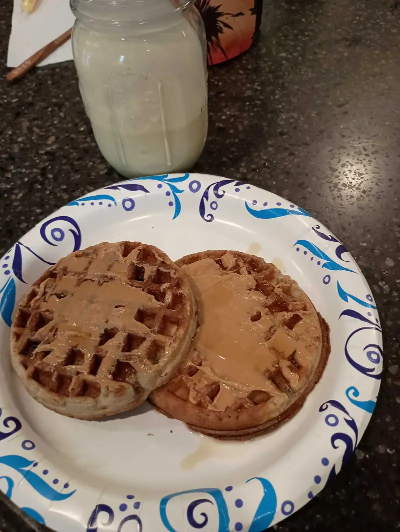 Healthy High Protein Waffle Recipe