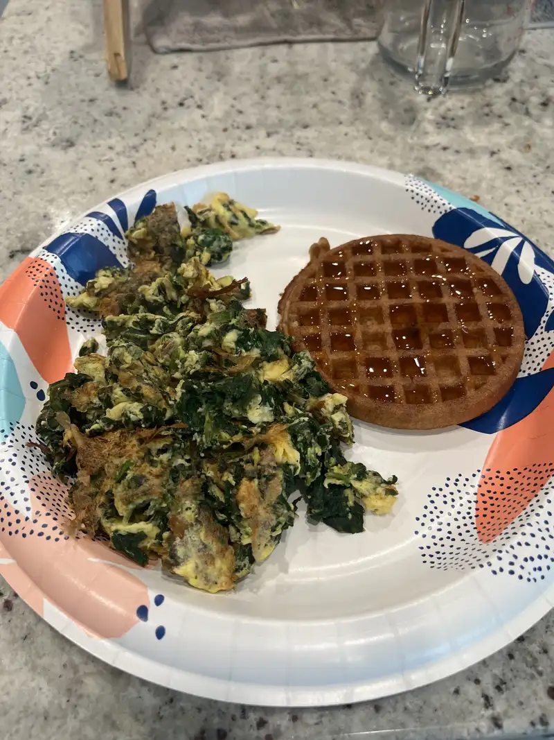 Healthy High Protein Waffle Recipe