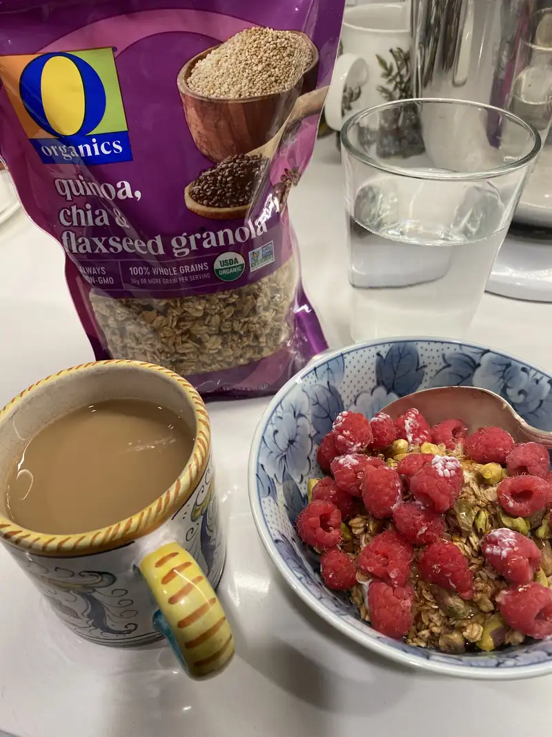 Healthy High Protein Yogurt Recipe