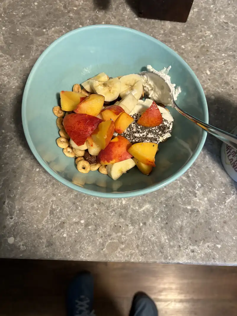 Healthy High Protein Yogurt Recipe