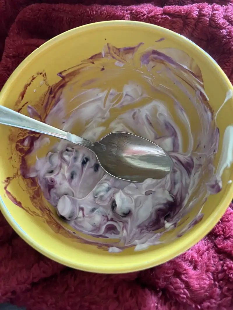 Healthy High Protein Yogurt Recipe