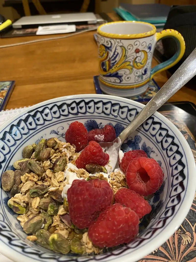 Healthy High Protein Yogurt Recipe