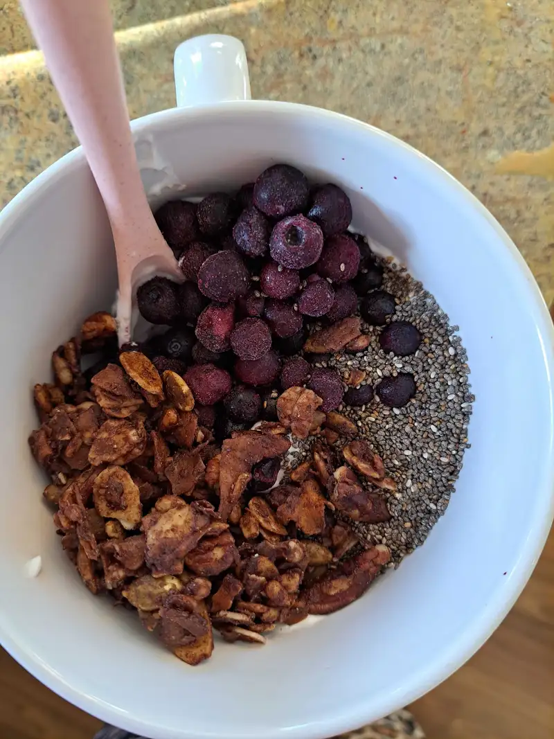 Healthy High Protein Yogurt Recipe