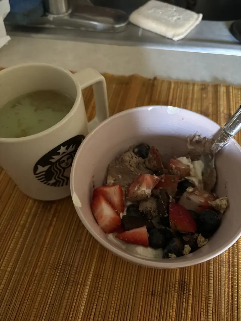 Healthy High Protein Yogurt Recipe