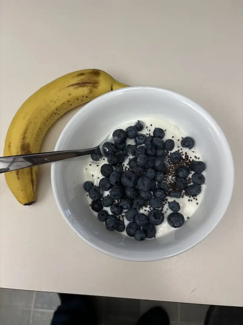 Healthy High Protein Yogurt Recipe
