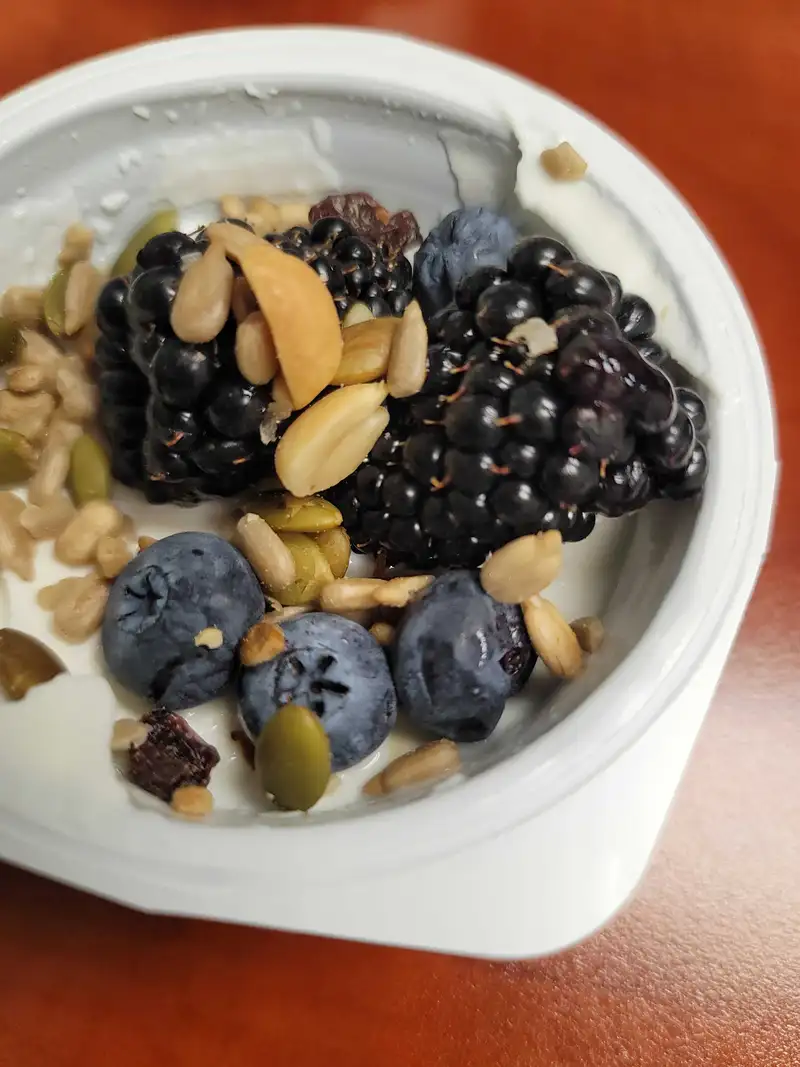 Healthy High Protein Yogurt Recipe