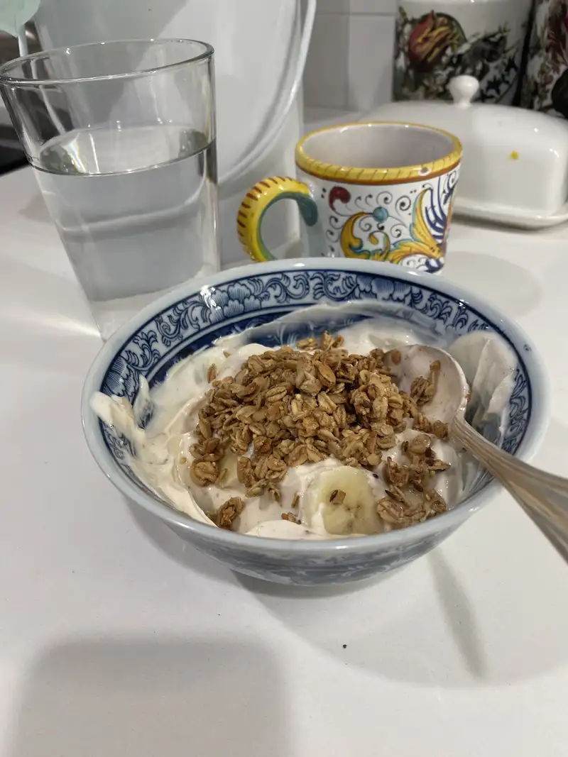 Healthy High Protein Yogurt Recipe