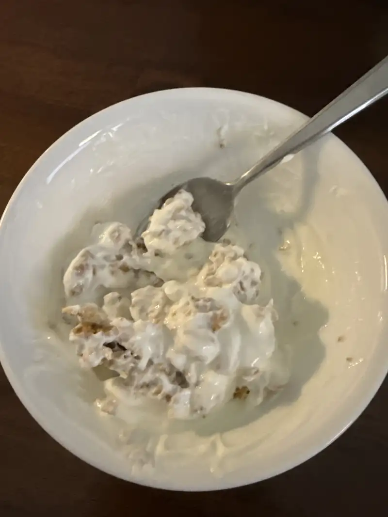 Healthy High Protein Yogurt Recipe