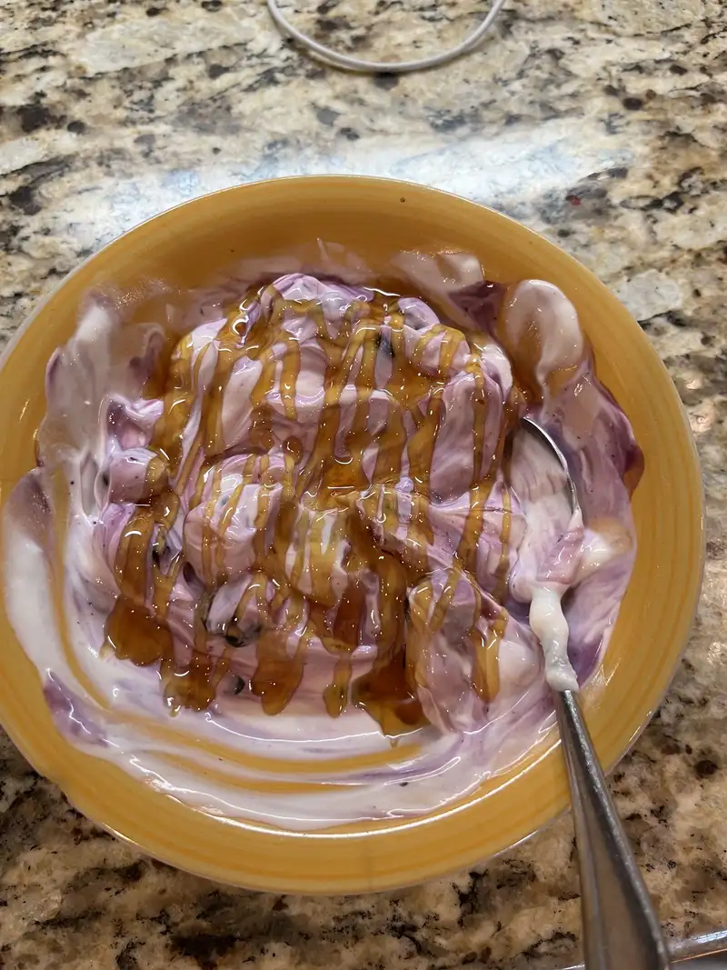 Healthy High Protein Yogurt Recipe