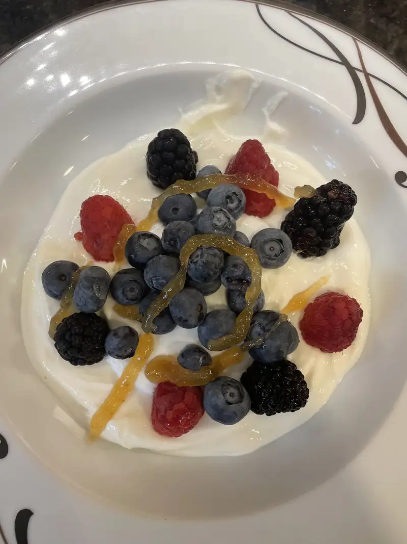 Healthy High Protein Yogurt Recipe