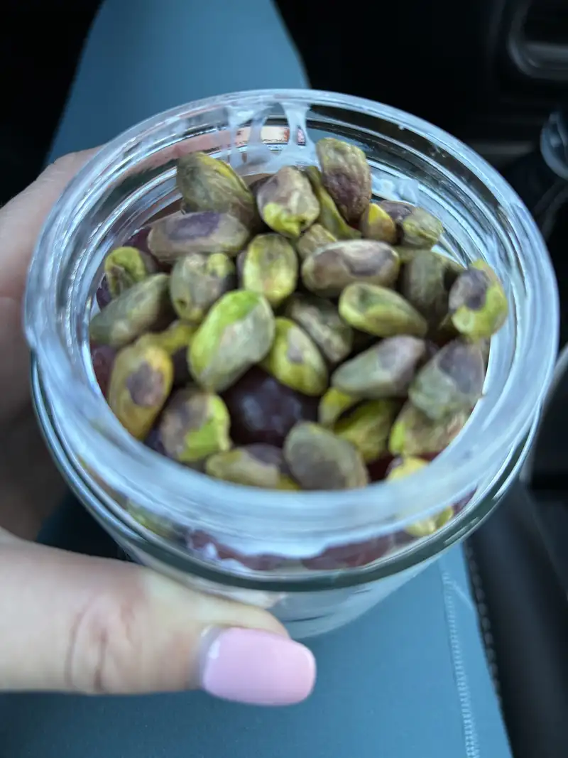 Healthy High Protein Yogurt Recipe