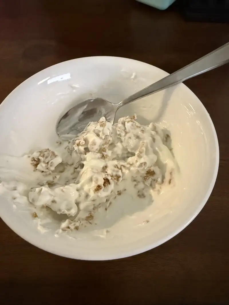 Healthy High Protein Yogurt Recipe