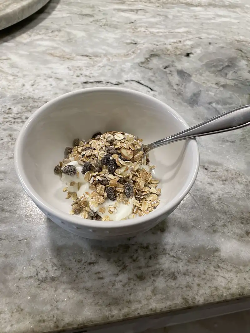 Healthy High Protein Yogurt Recipe