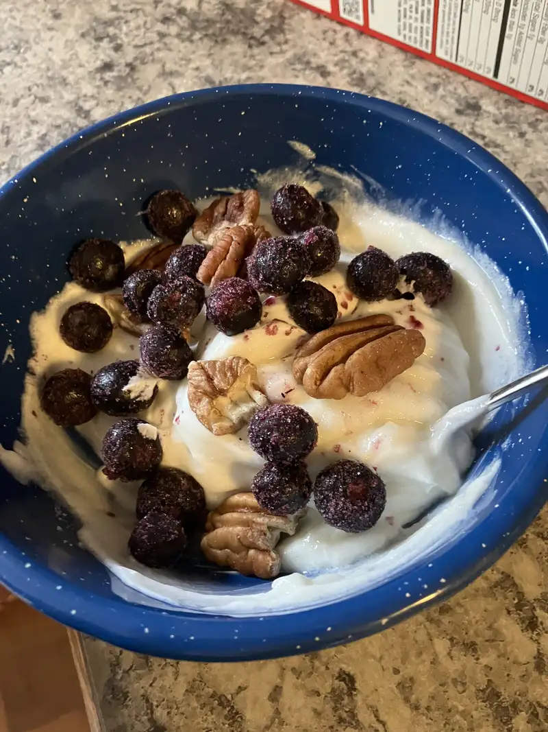 Healthy High Protein Yogurt Recipe