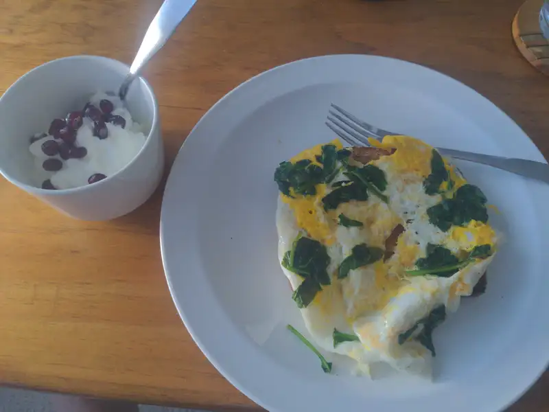 Healthy High Protein Yogurt Recipe
