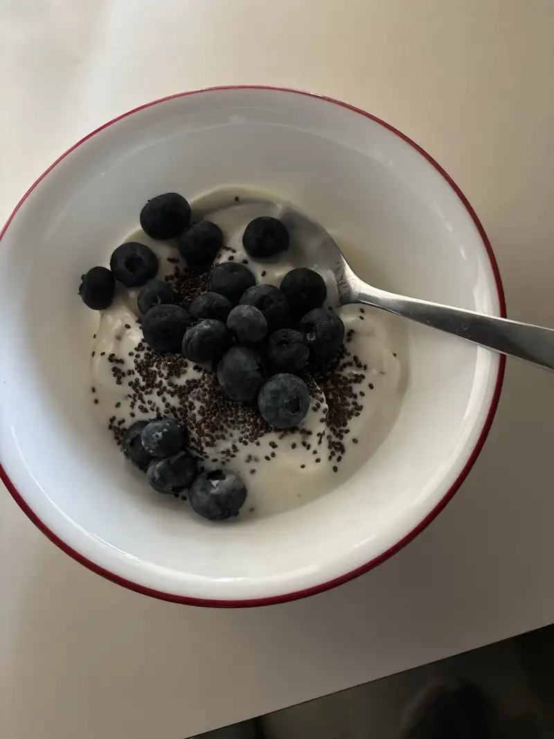 Healthy High Protein Yogurt Recipe